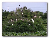 Wakodahatchee-Wetlands-Delray-Beach-FL-122