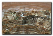 Water-Drops-Pictures-Nikon-D100-01