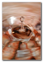 Water Drop Photographs - Nikon D10 Digital SLR