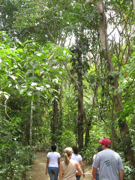 Waterfalls-Canopy-Tour-Jaco-Beach-Costa-Rica-001