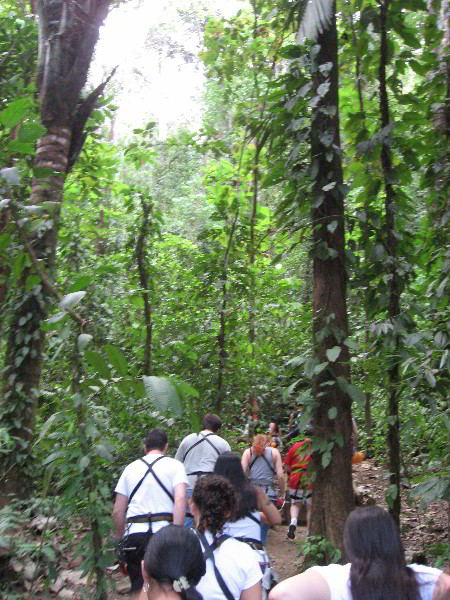 Waterfalls-Canopy-Tour-Jaco-Beach-Costa-Rica-004