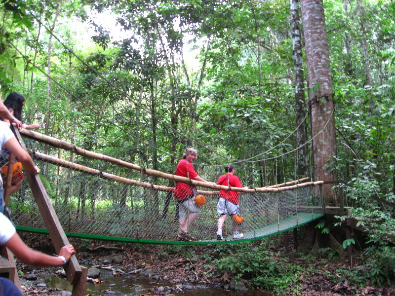 Waterfalls-Canopy-Tour-Jaco-Beach-Costa-Rica-006