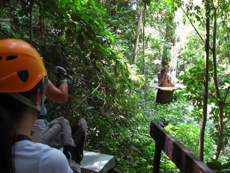 Waterfalls-Canopy-Tour-Jaco-Beach-Costa-Rica-013