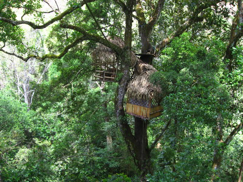 Waterfalls-Canopy-Tour-Jaco-Beach-Costa-Rica-015