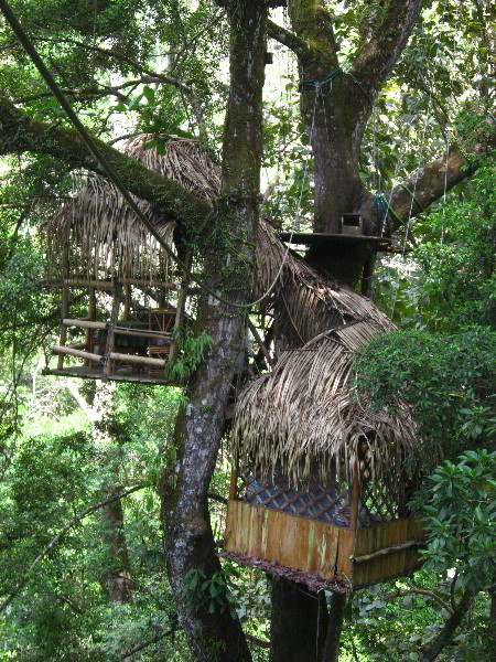 Waterfalls-Canopy-Tour-Jaco-Beach-Costa-Rica-016