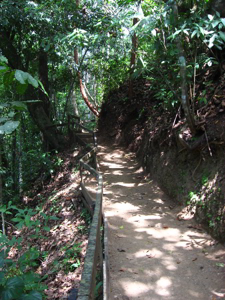 Waterfalls-Canopy-Tour-Jaco-Beach-Costa-Rica-019