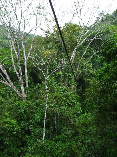 Waterfalls-Canopy-Tour-Jaco-Beach-Costa-Rica-021