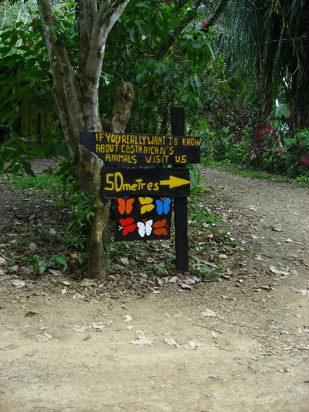 Waterfalls-Canopy-Tour-Jaco-Beach-Costa-Rica-026