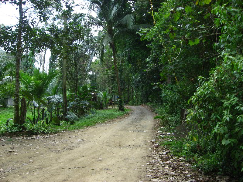 Waterfalls-Canopy-Tour-Jaco-Beach-Costa-Rica-027