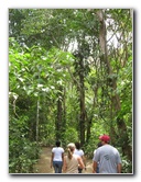 Waterfalls-Canopy-Tour-Jaco-Beach-Costa-Rica-001