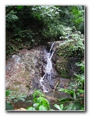 Waterfalls-Canopy-Tour-Jaco-Beach-Costa-Rica-007