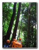 Waterfalls-Canopy-Tour-Jaco-Beach-Costa-Rica-010