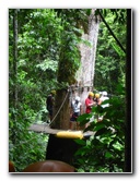 Waterfalls-Canopy-Tour-Jaco-Beach-Costa-Rica-011