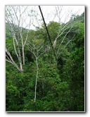 Waterfalls-Canopy-Tour-Jaco-Beach-Costa-Rica-021
