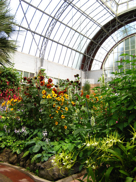 Winter-Garden-Auckland-Domain-Park-New-Zealand-003