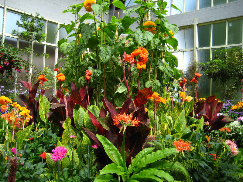 Winter-Garden-Auckland-Domain-Park-New-Zealand-006