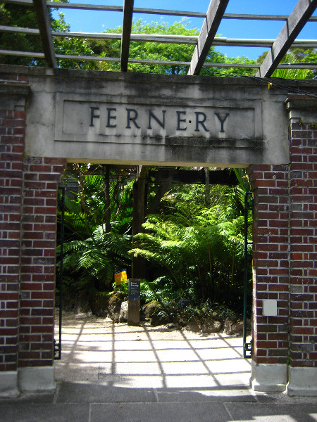 Winter-Garden-Auckland-Domain-Park-New-Zealand-017