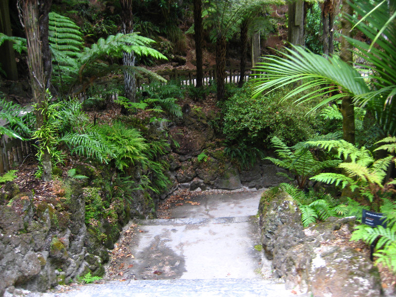 Winter-Garden-Auckland-Domain-Park-New-Zealand-018