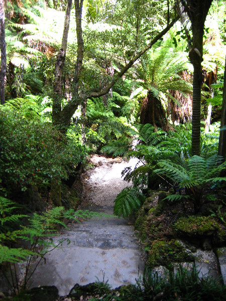 Winter-Garden-Auckland-Domain-Park-New-Zealand-019