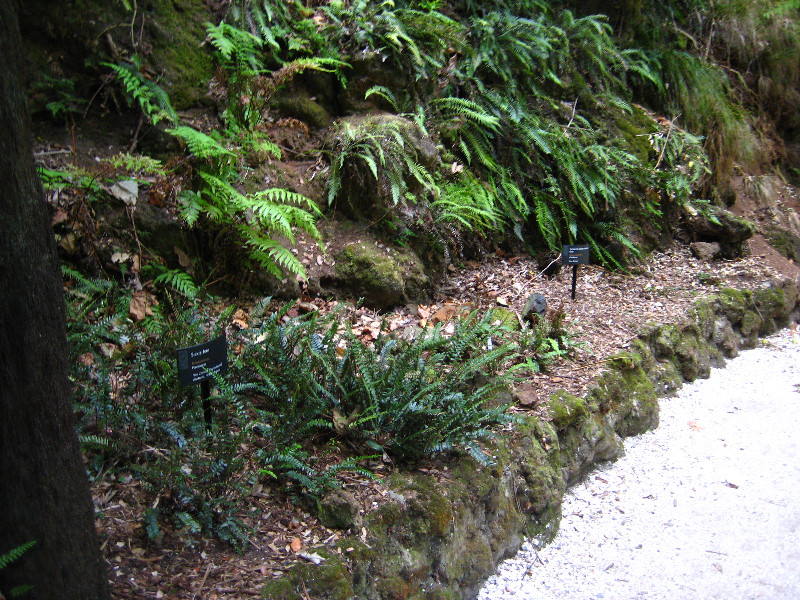 Winter-Garden-Auckland-Domain-Park-New-Zealand-020