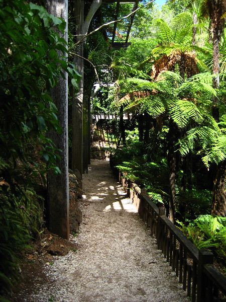 Winter-Garden-Auckland-Domain-Park-New-Zealand-021