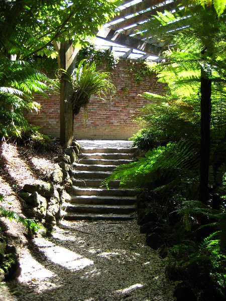 Winter-Garden-Auckland-Domain-Park-New-Zealand-022