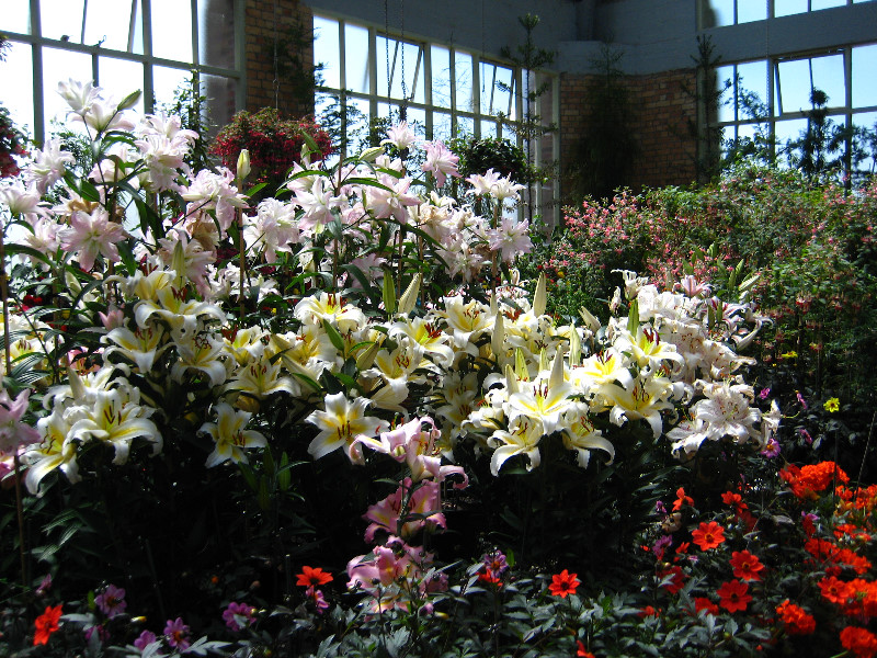 Winter-Garden-Auckland-Domain-Park-New-Zealand-032