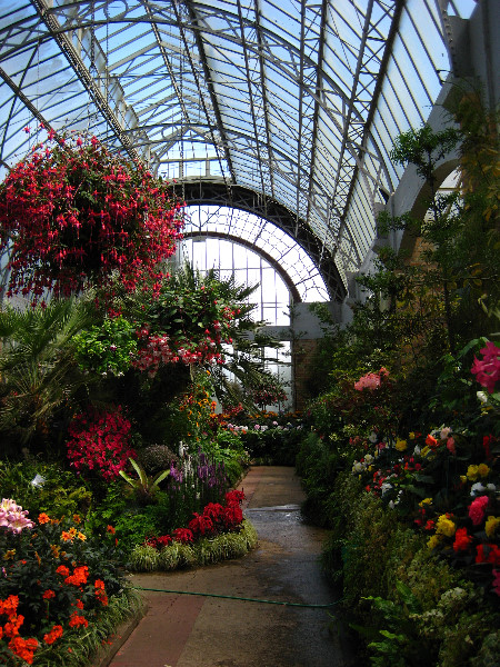 Winter-Garden-Auckland-Domain-Park-New-Zealand-045