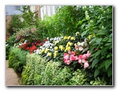 Winter-Garden-Auckland-Domain-Park-New-Zealand-004