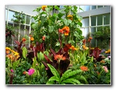 Winter-Garden-Auckland-Domain-Park-New-Zealand-006