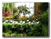 Winter-Garden-Auckland-Domain-Park-New-Zealand-007