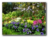 Winter-Garden-Auckland-Domain-Park-New-Zealand-013