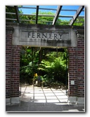 Winter-Garden-Auckland-Domain-Park-New-Zealand-017