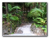 Winter-Garden-Auckland-Domain-Park-New-Zealand-018