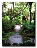 Winter-Garden-Auckland-Domain-Park-New-Zealand-019