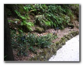 Winter-Garden-Auckland-Domain-Park-New-Zealand-020