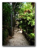 Winter-Garden-Auckland-Domain-Park-New-Zealand-021