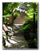 Winter-Garden-Auckland-Domain-Park-New-Zealand-022