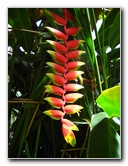 Winter-Garden-Auckland-Domain-Park-New-Zealand-027