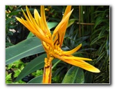 Winter-Garden-Auckland-Domain-Park-New-Zealand-029