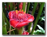 Winter-Garden-Auckland-Domain-Park-New-Zealand-030