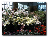 Winter-Garden-Auckland-Domain-Park-New-Zealand-032