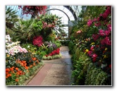 Winter-Garden-Auckland-Domain-Park-New-Zealand-044