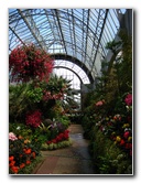 Winter-Garden-Auckland-Domain-Park-New-Zealand-045