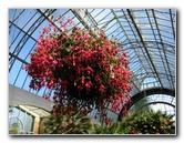 Winter-Garden-Auckland-Domain-Park-New-Zealand-047