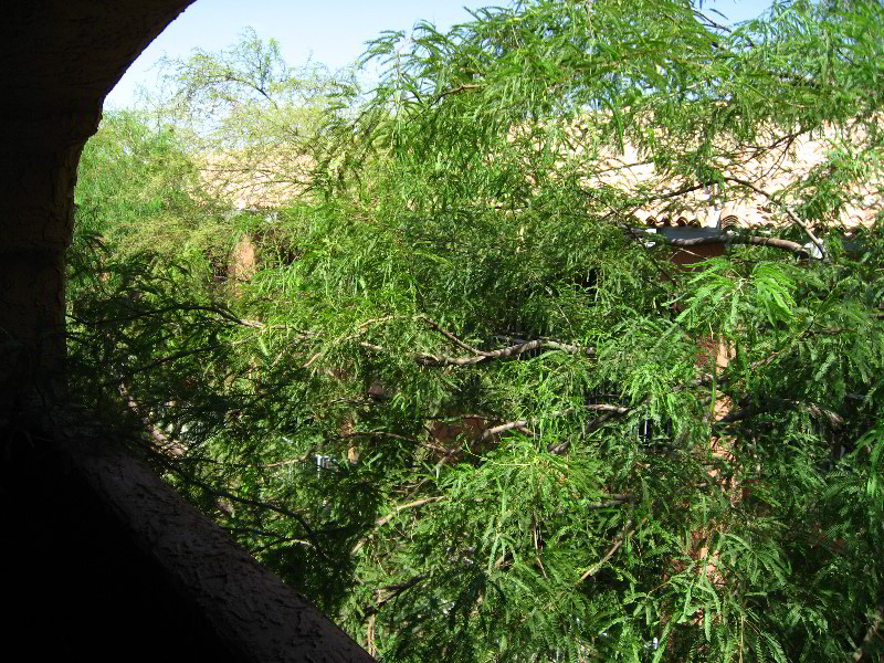 Xona-Resort-Suites-Scottsdale-AZ-021