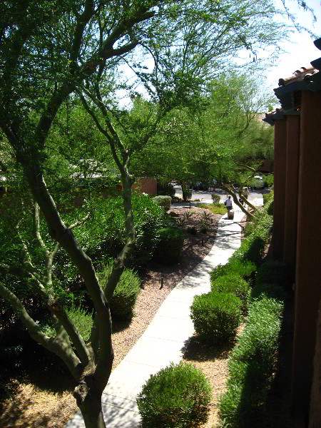 Xona-Resort-Suites-Scottsdale-AZ-022