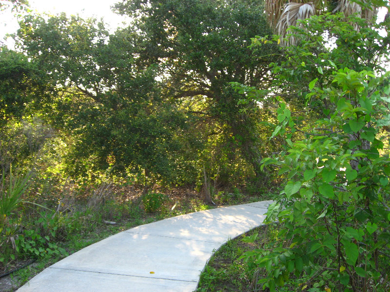 Yamato-Scrub-Natural-Area-Boca-Raton-FL-005