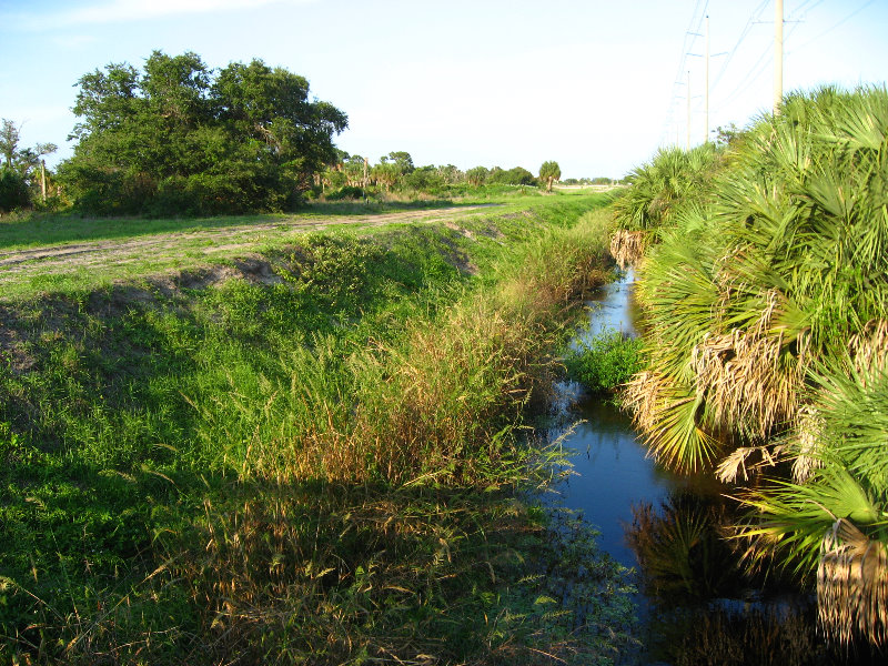 Yamato-Scrub-Natural-Area-Boca-Raton-FL-009