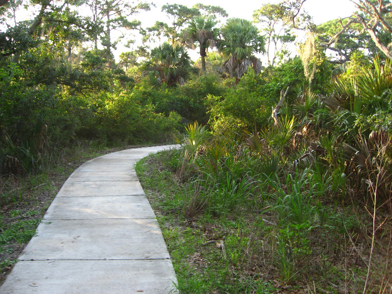 Yamato-Scrub-Natural-Area-Boca-Raton-FL-012